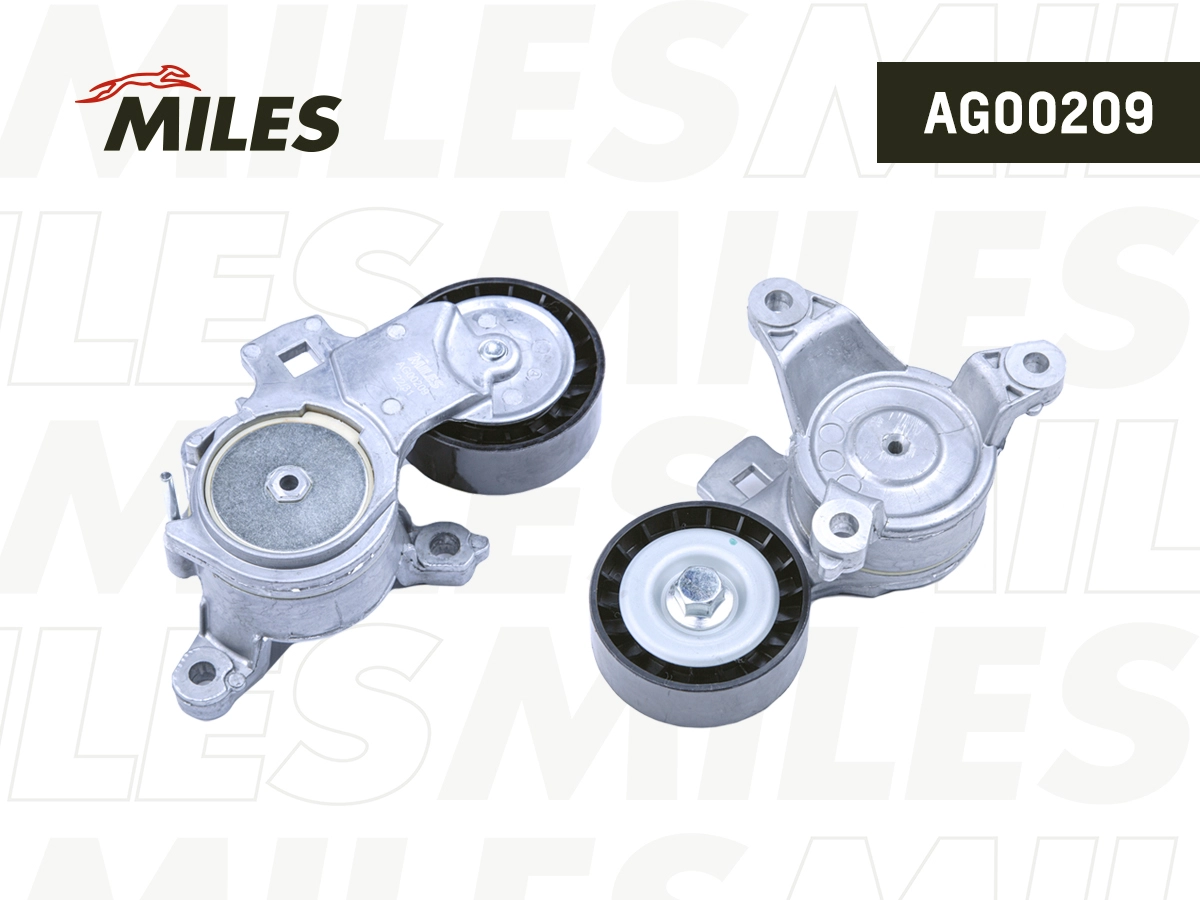 AG00209