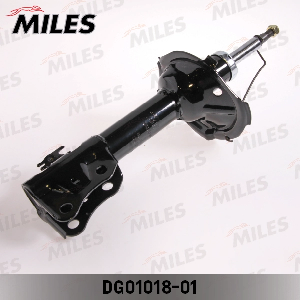 DG01018-01