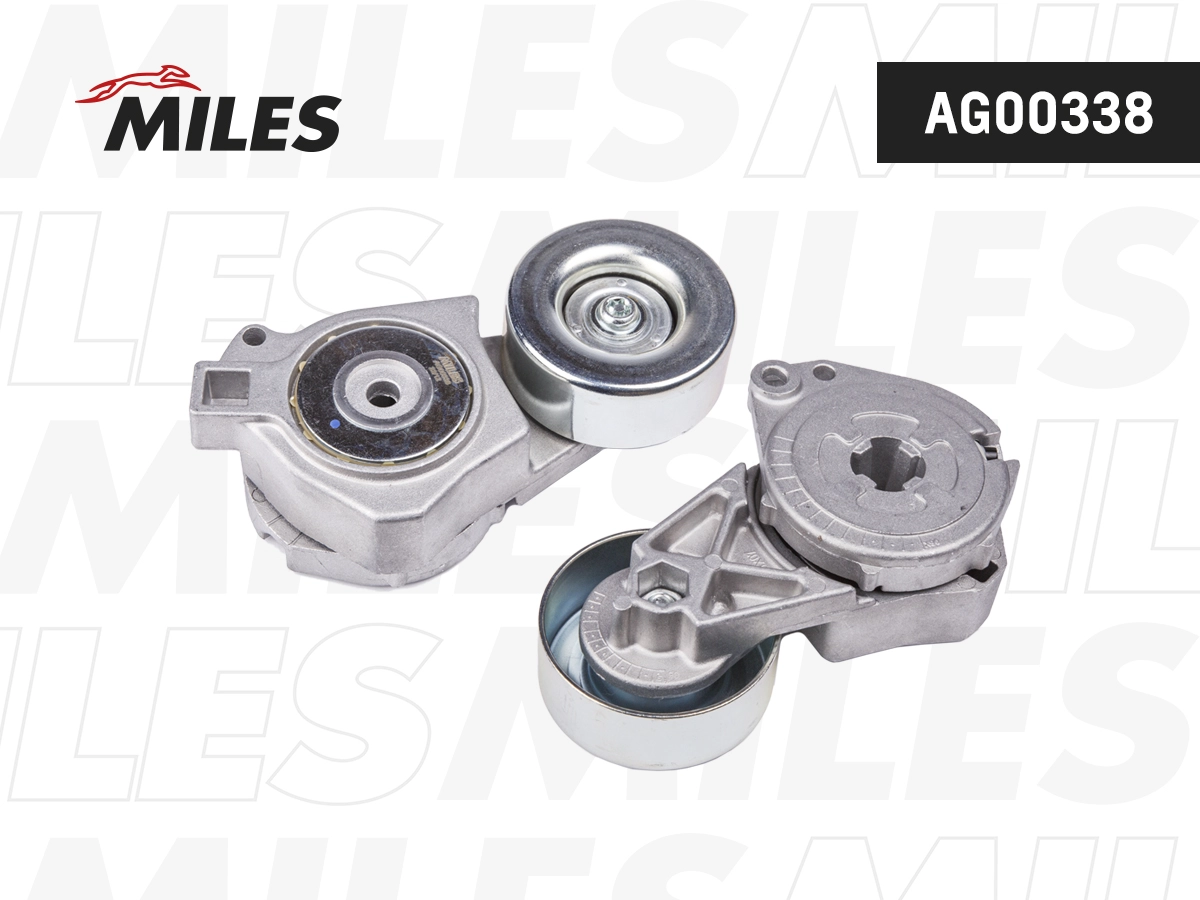 AG00338