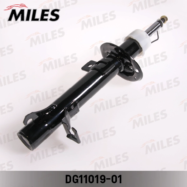 DG11019-01
