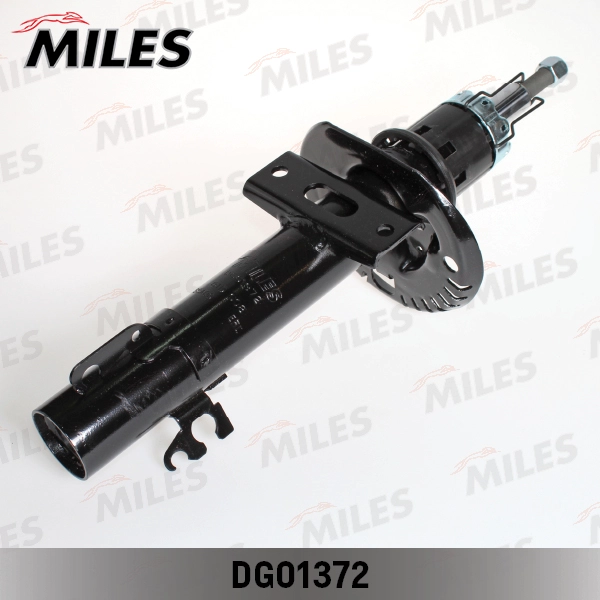 DG01372