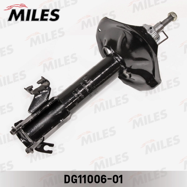 DG11006-01