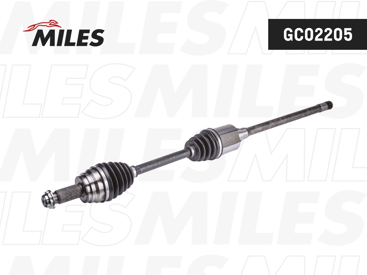 GC02205
