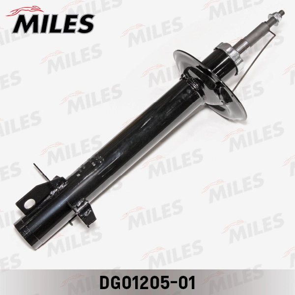 DG01205-01