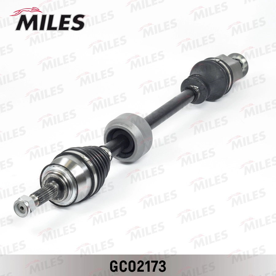 GC02173