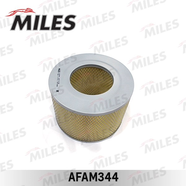 AFAM344