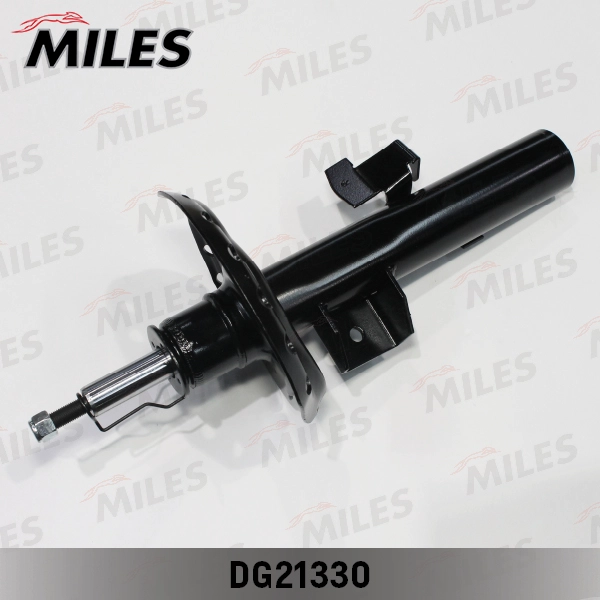 DG21330