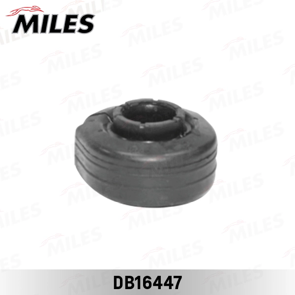 DB16447