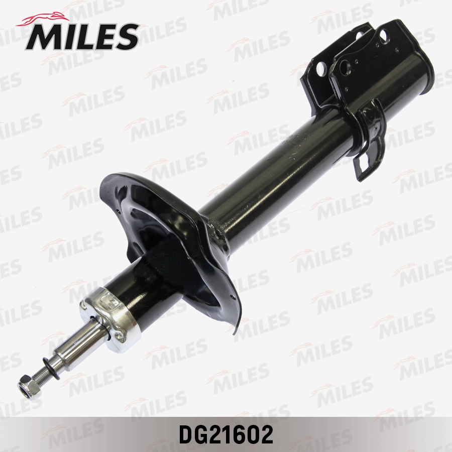 DG21602