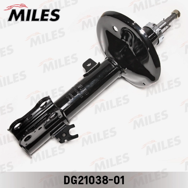 DG21038-01