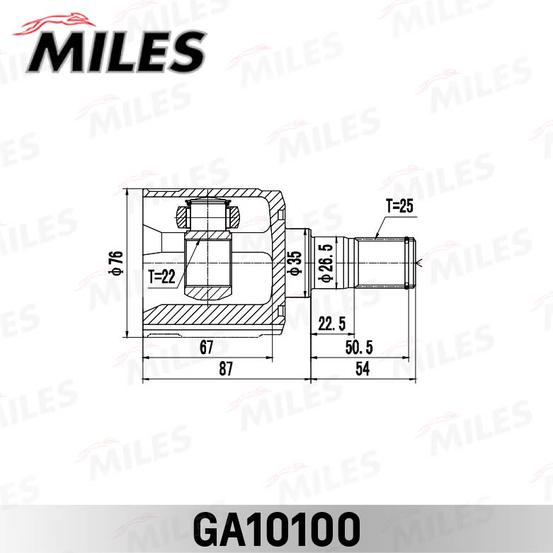 GA10100