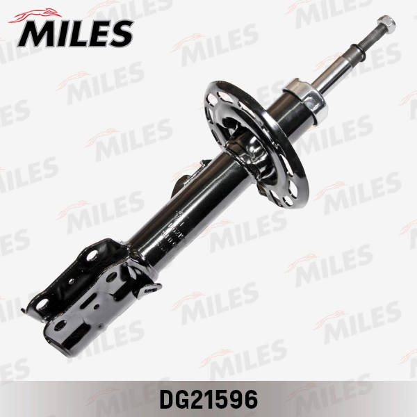 DG21596