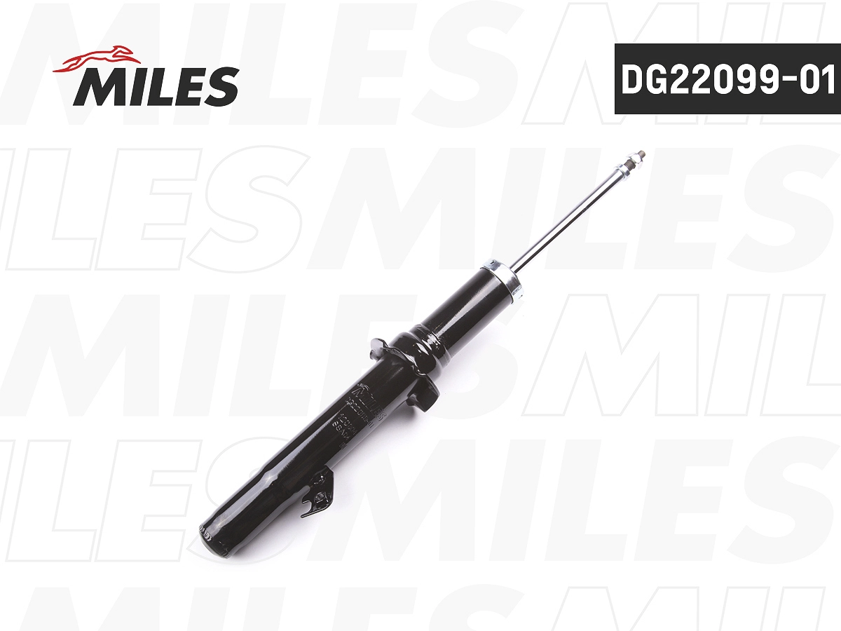 DG22099-01