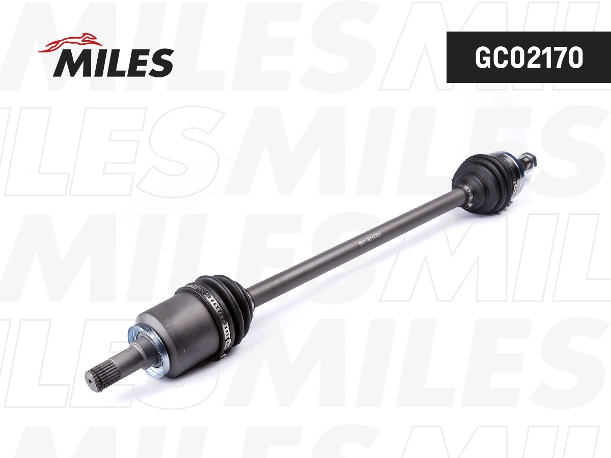GC02170