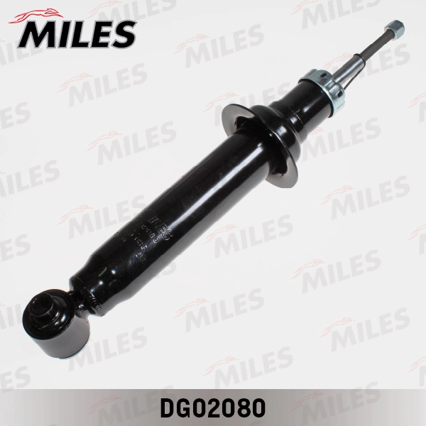 DG02080