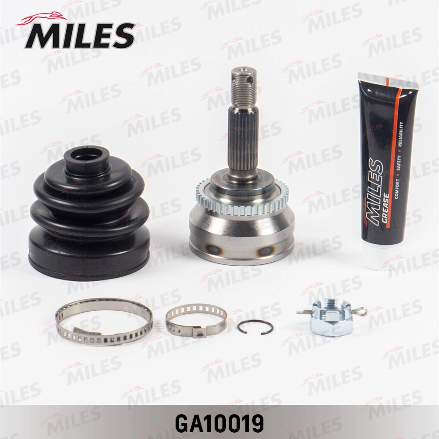GA10019