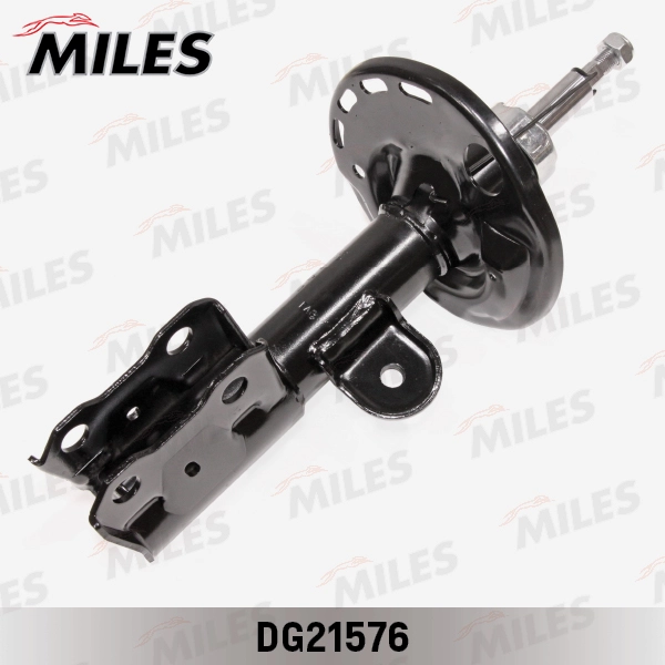 DG21576