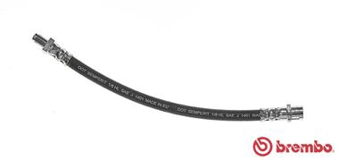 T 50 029