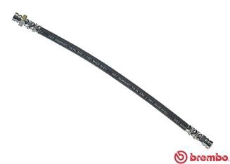 T 79 028