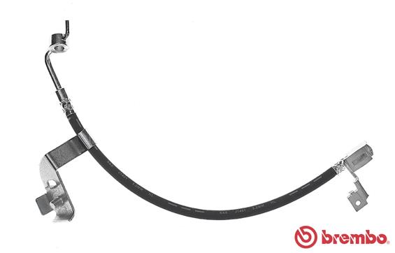 T 24 081