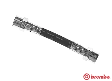 T 06 033
