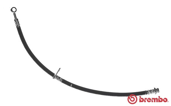 T78029