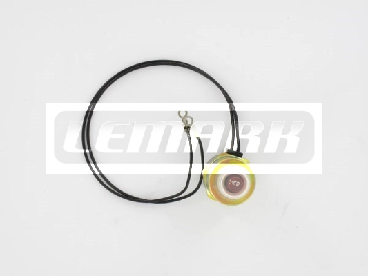 LDSS002