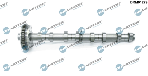 DRM01279
