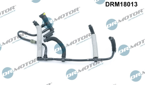 DRM18013