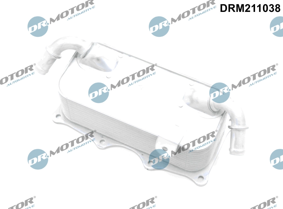 DRM211038