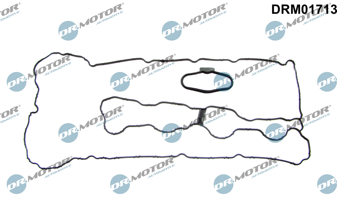 DRM01713