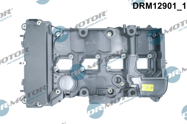 DRM12901