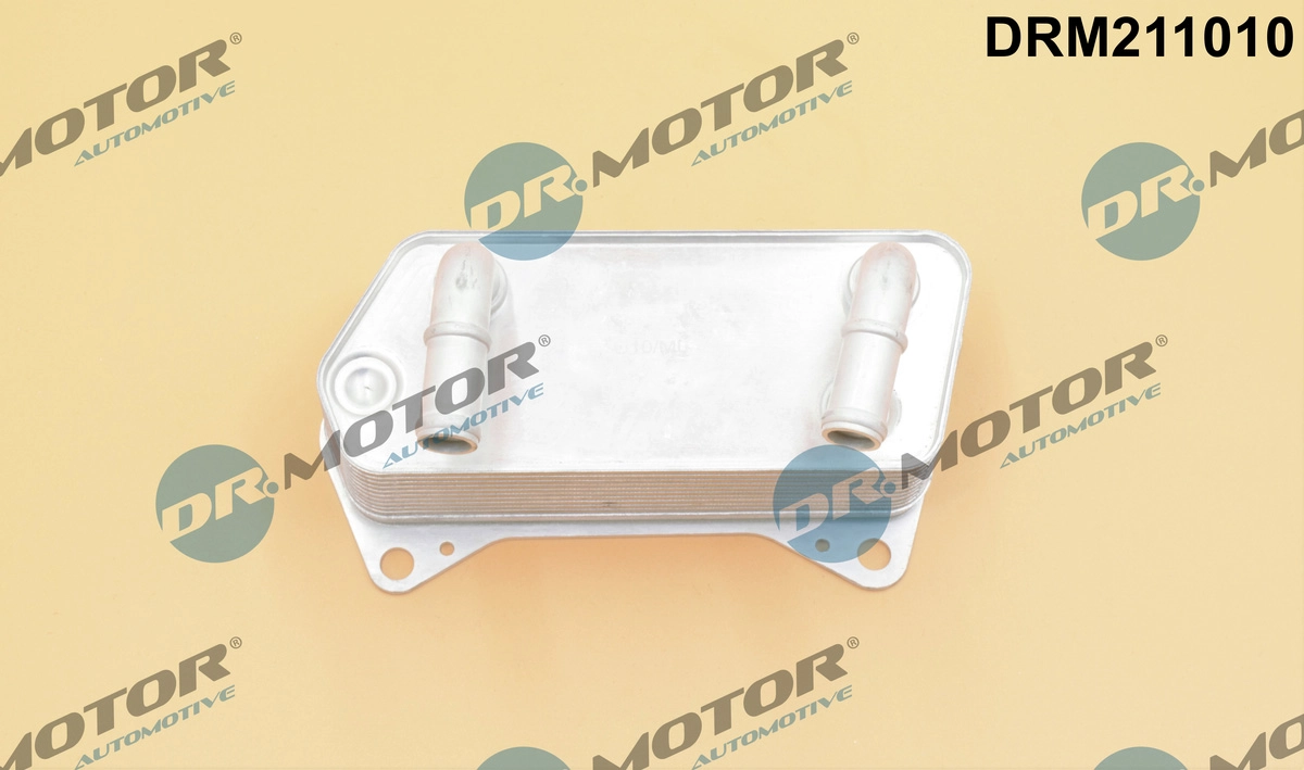 DRM211010