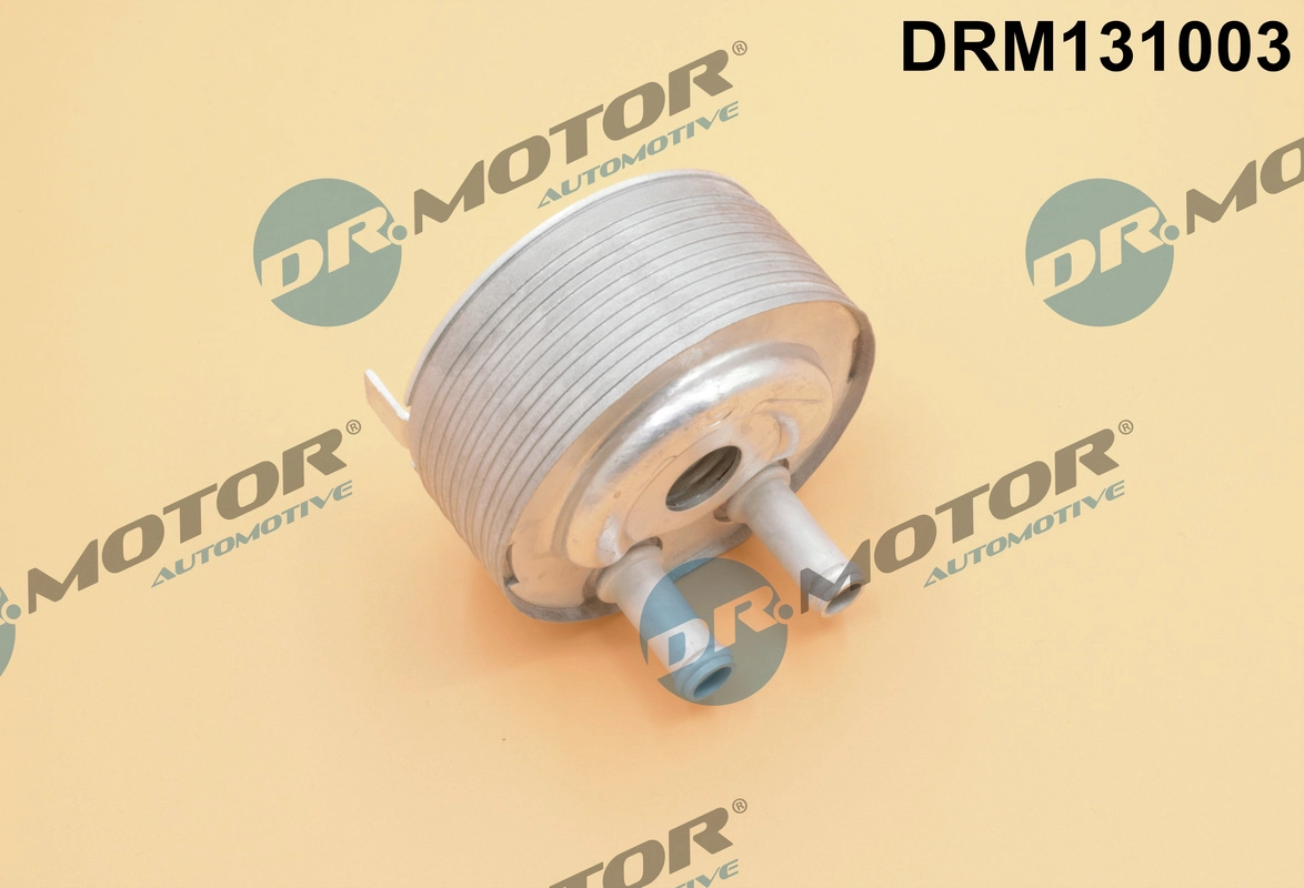 DRM131003