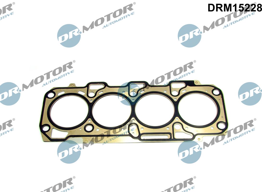 DRM15228