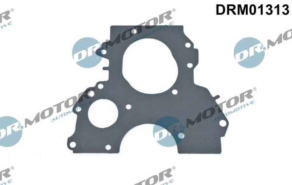 DRM01313