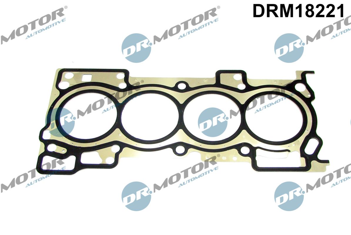 DRM18221