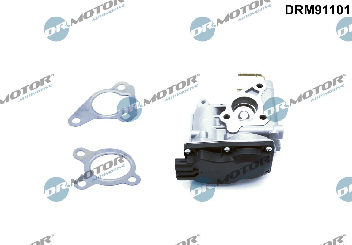 DRM91101