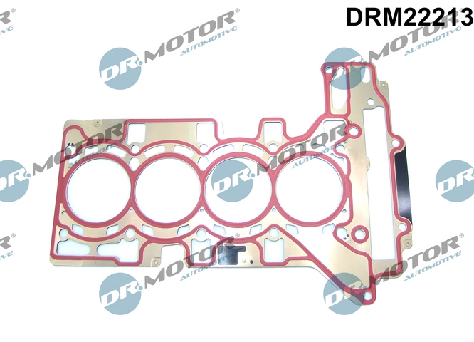 DRM22213
