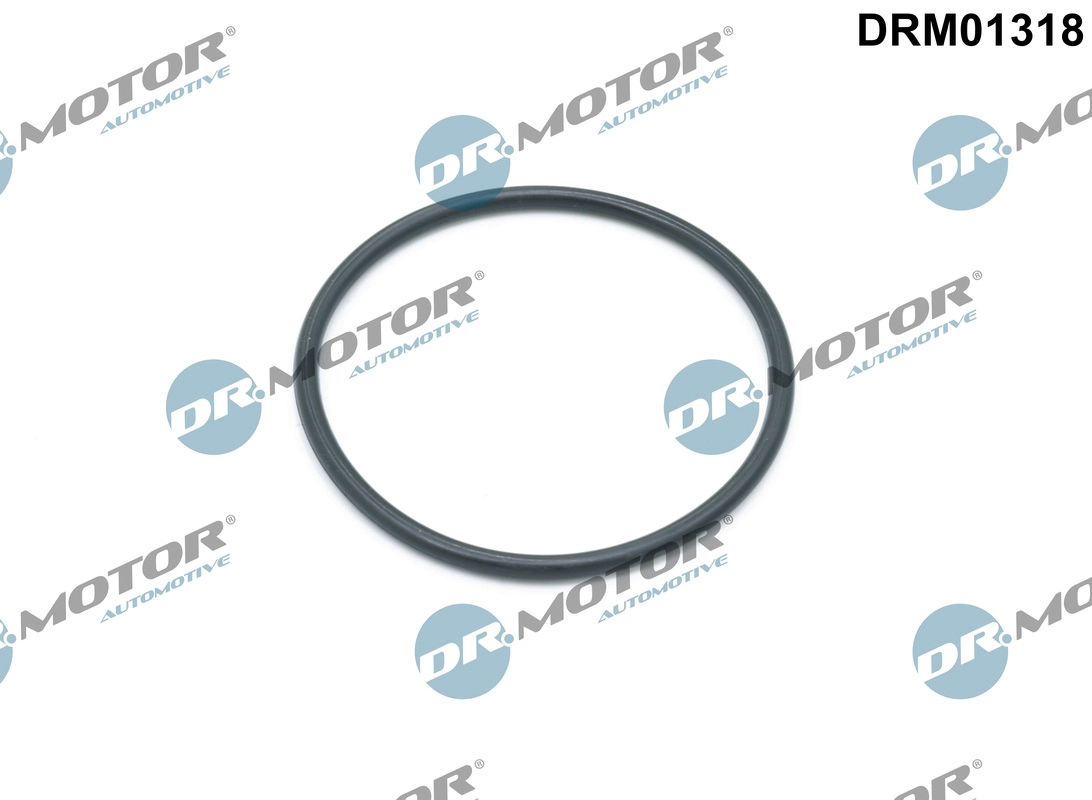 DRM01318