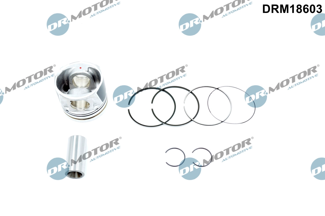 DRM18603