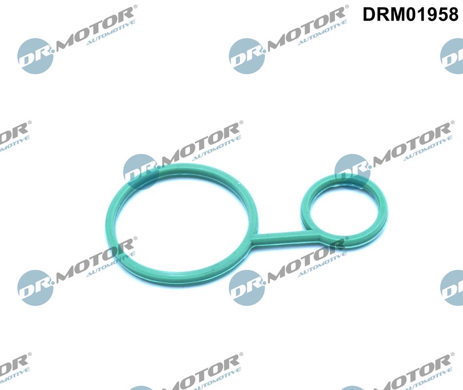 DRM01958