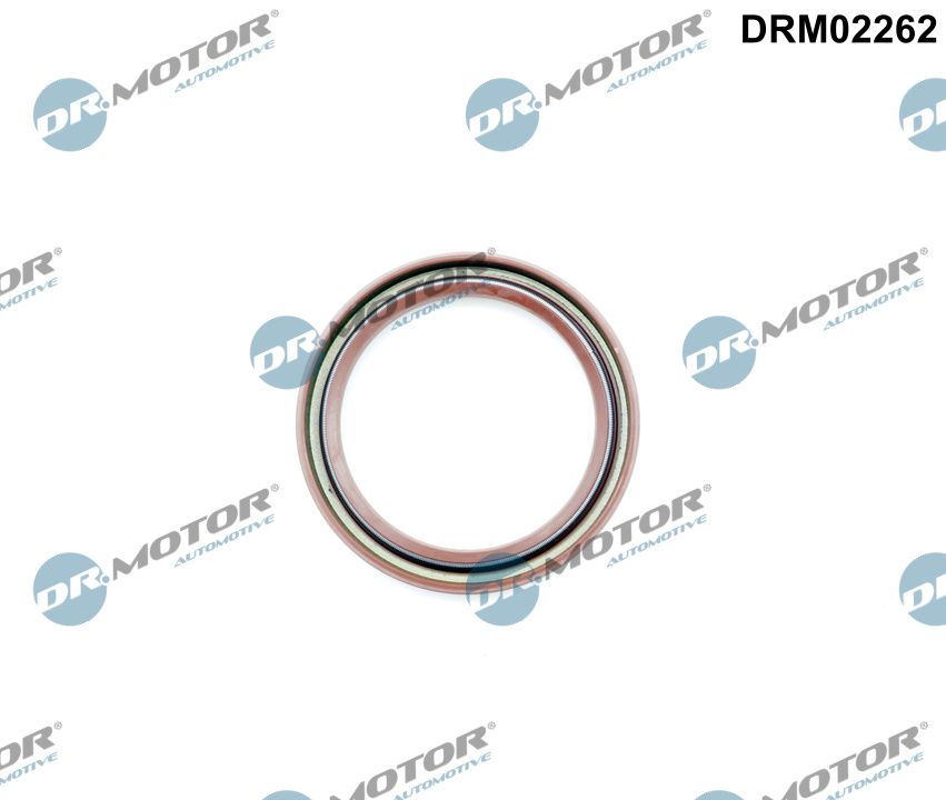 DRM02262