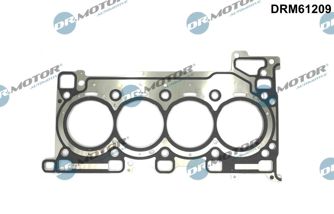 DRM61209