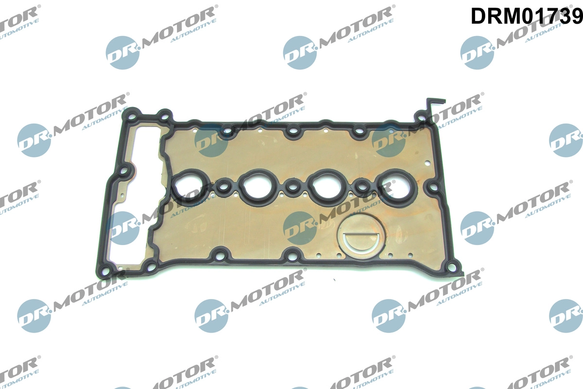 DRM01739