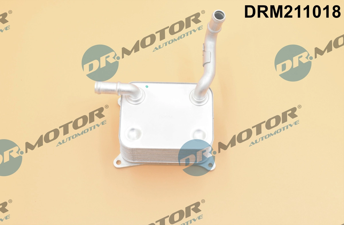 DRM211018