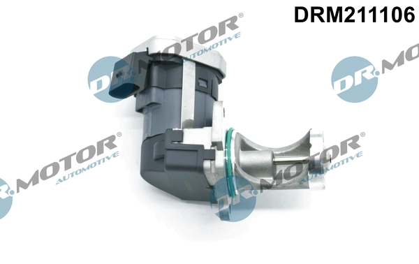 DRM211106