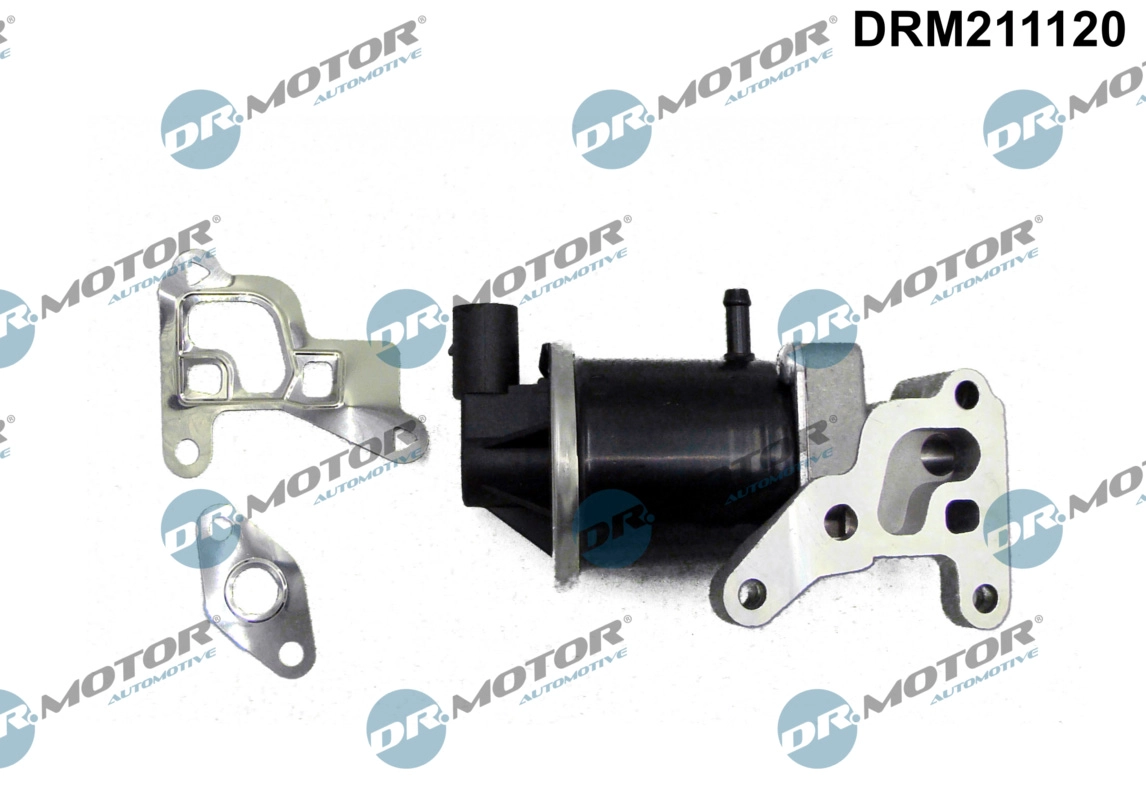 DRM211120