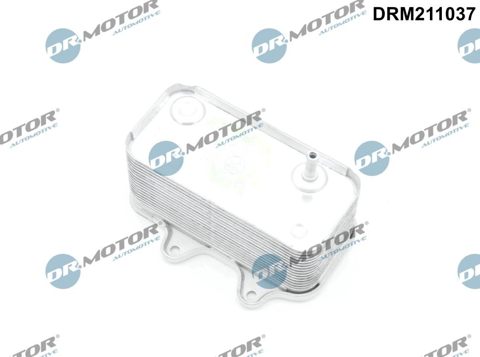 DRM211037
