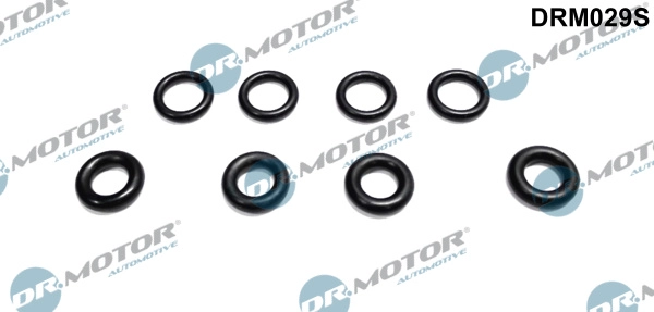 DRM029S